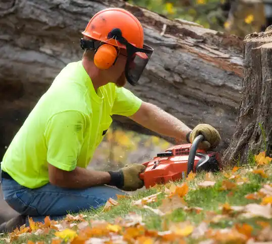 tree services Mohall